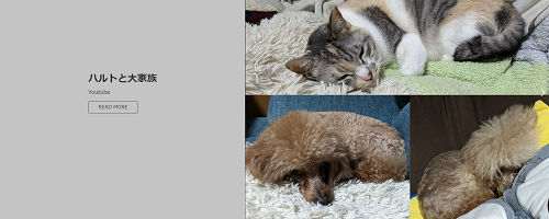 ハルトと大家族 YouTube